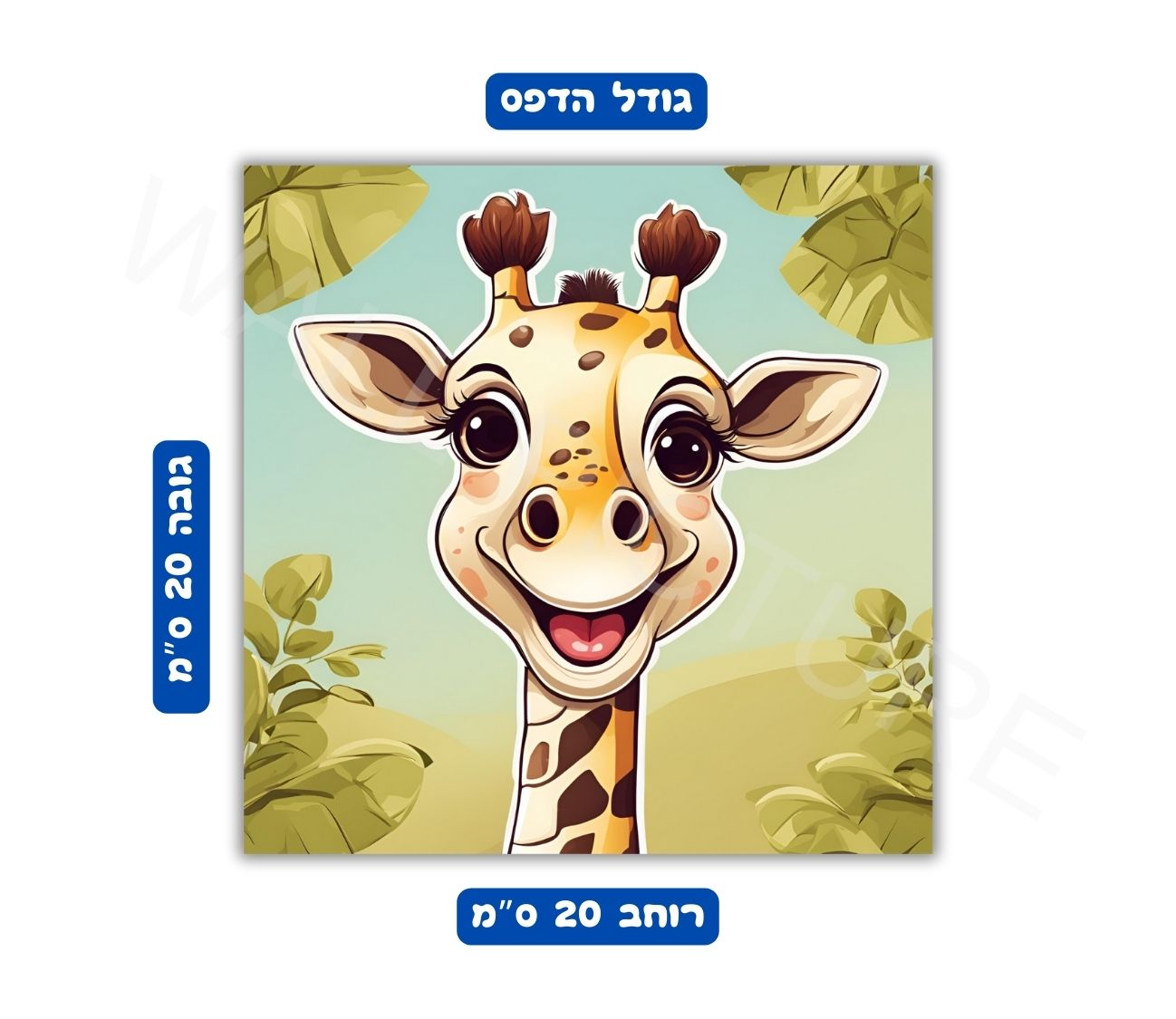 מידות פוסטר