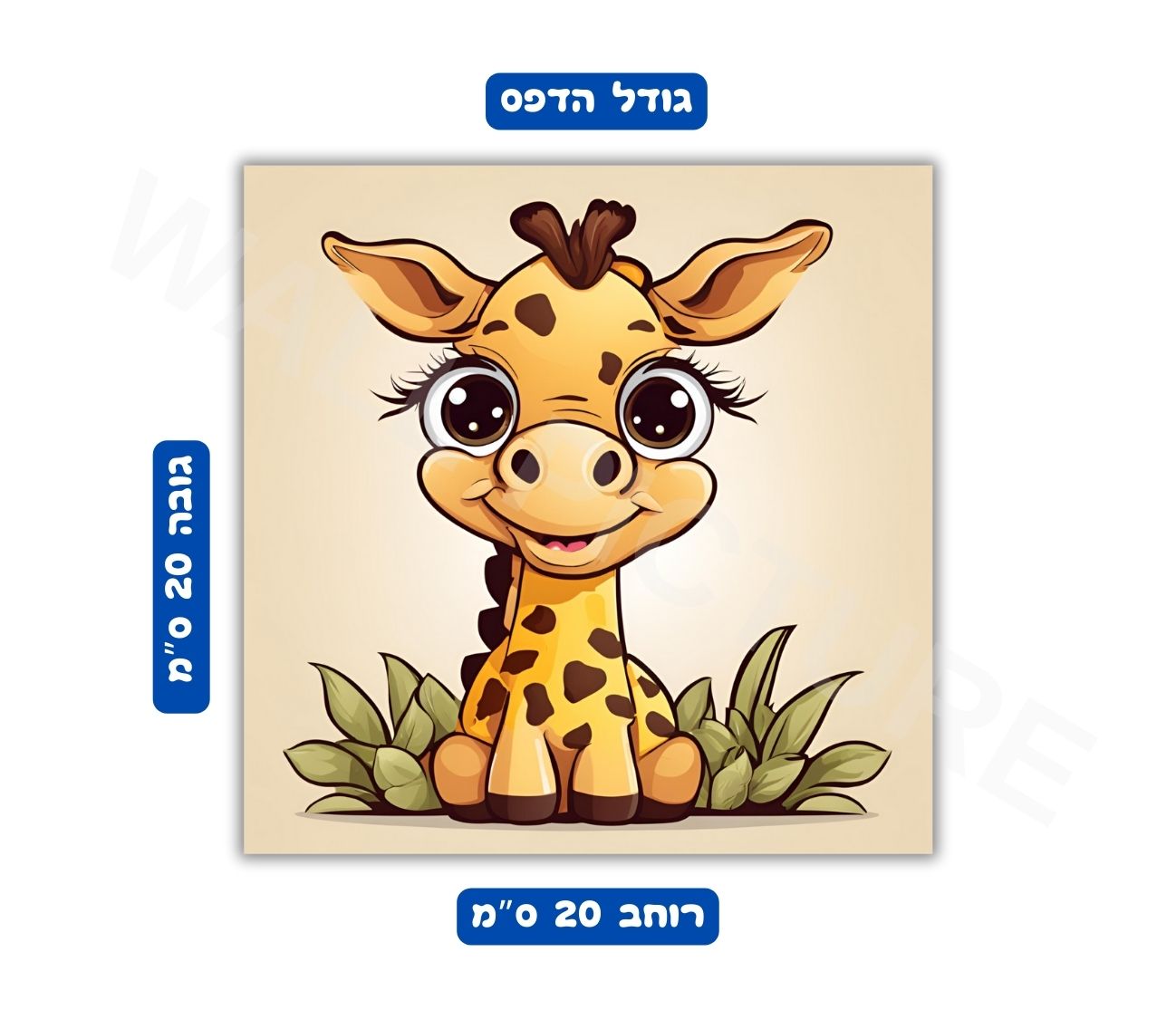 מידות פוסטר