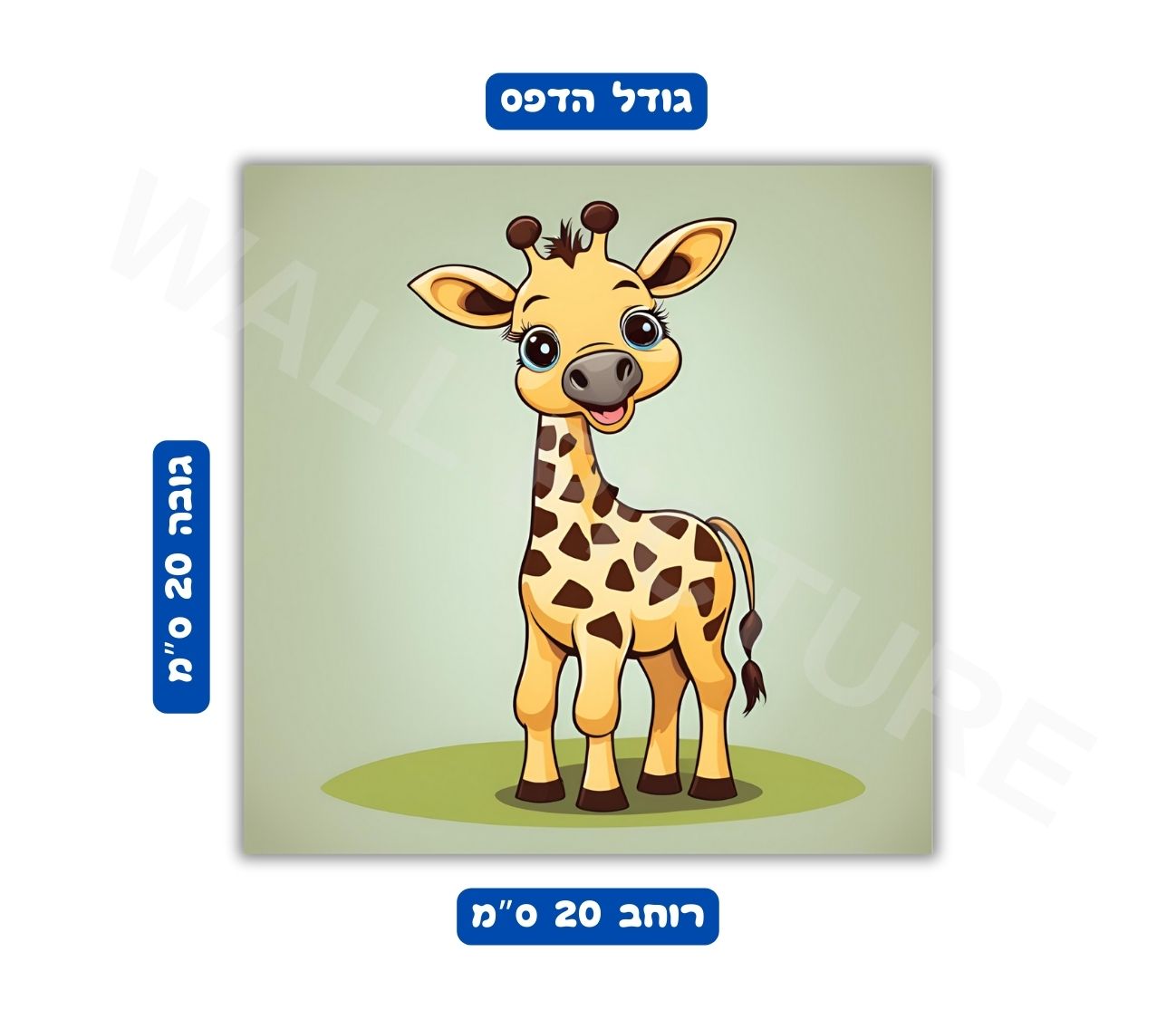 מידות פוסטר