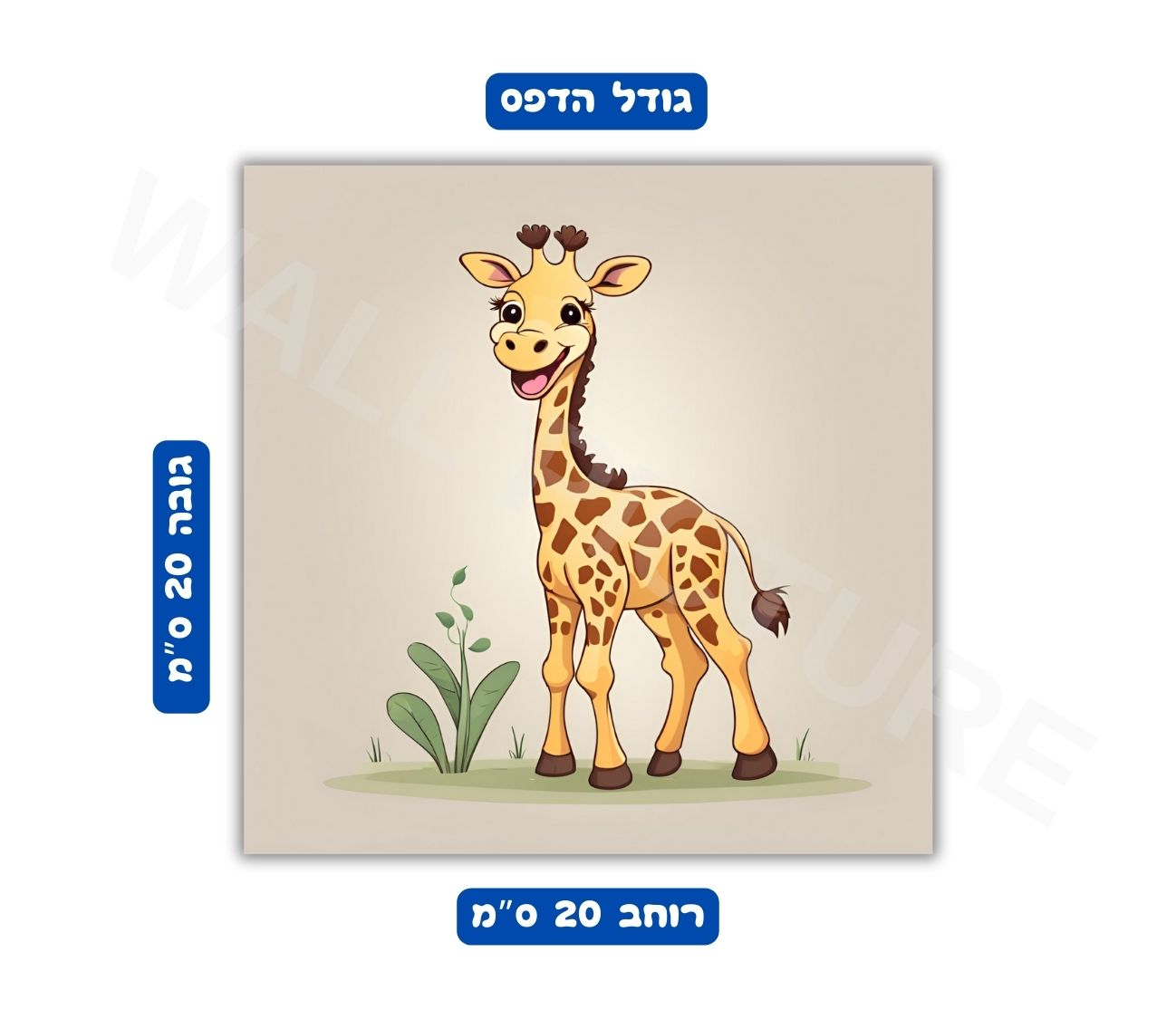 מידות הדפס פוסטר