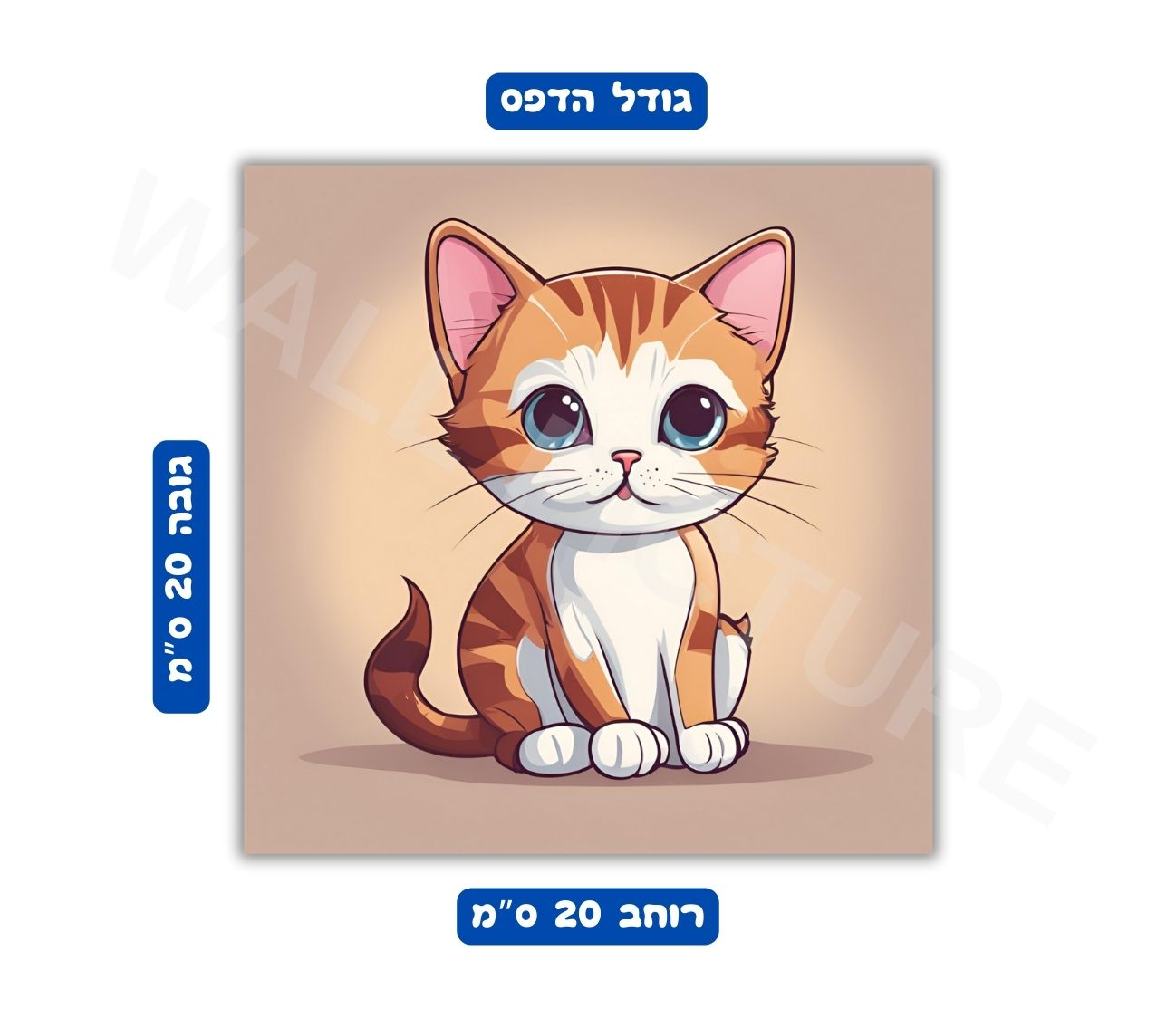 גודל פוסטר הדפס