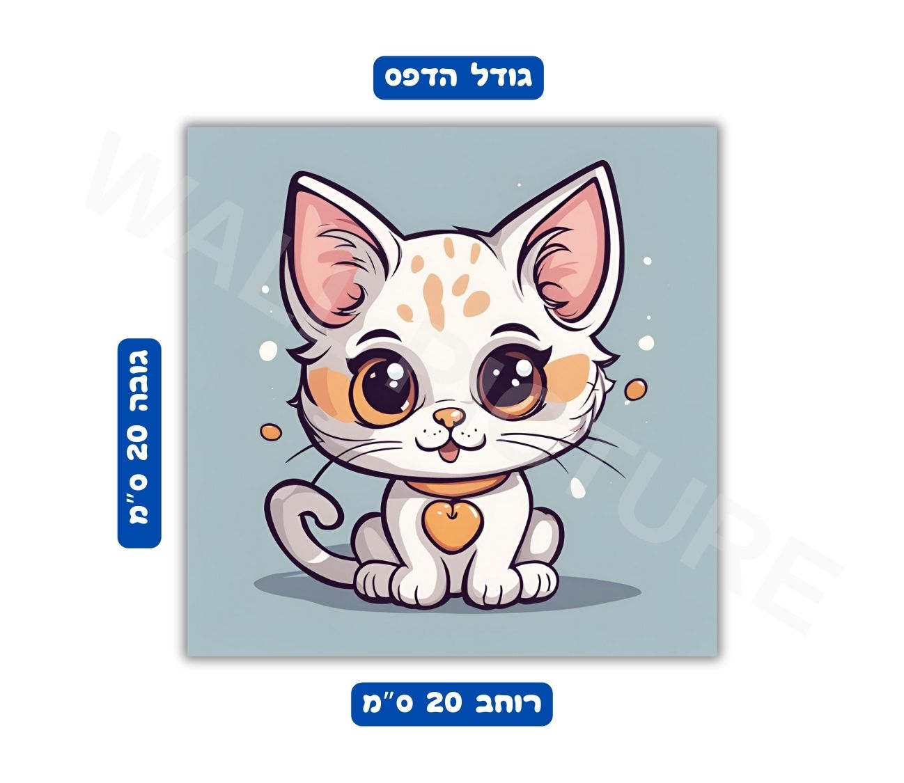 מידות פוסטר