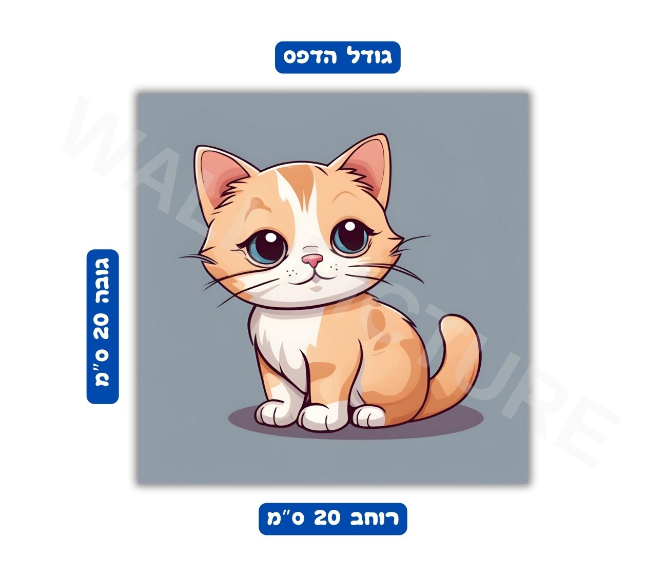 פוסטר גודל 20x20 ס"מ 