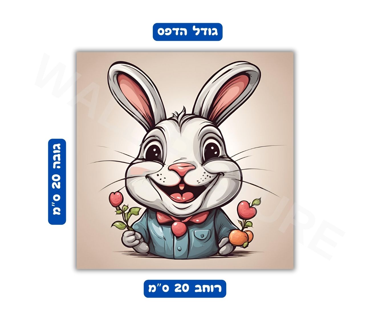 פוסטר גודל 20x20 ס"מ 