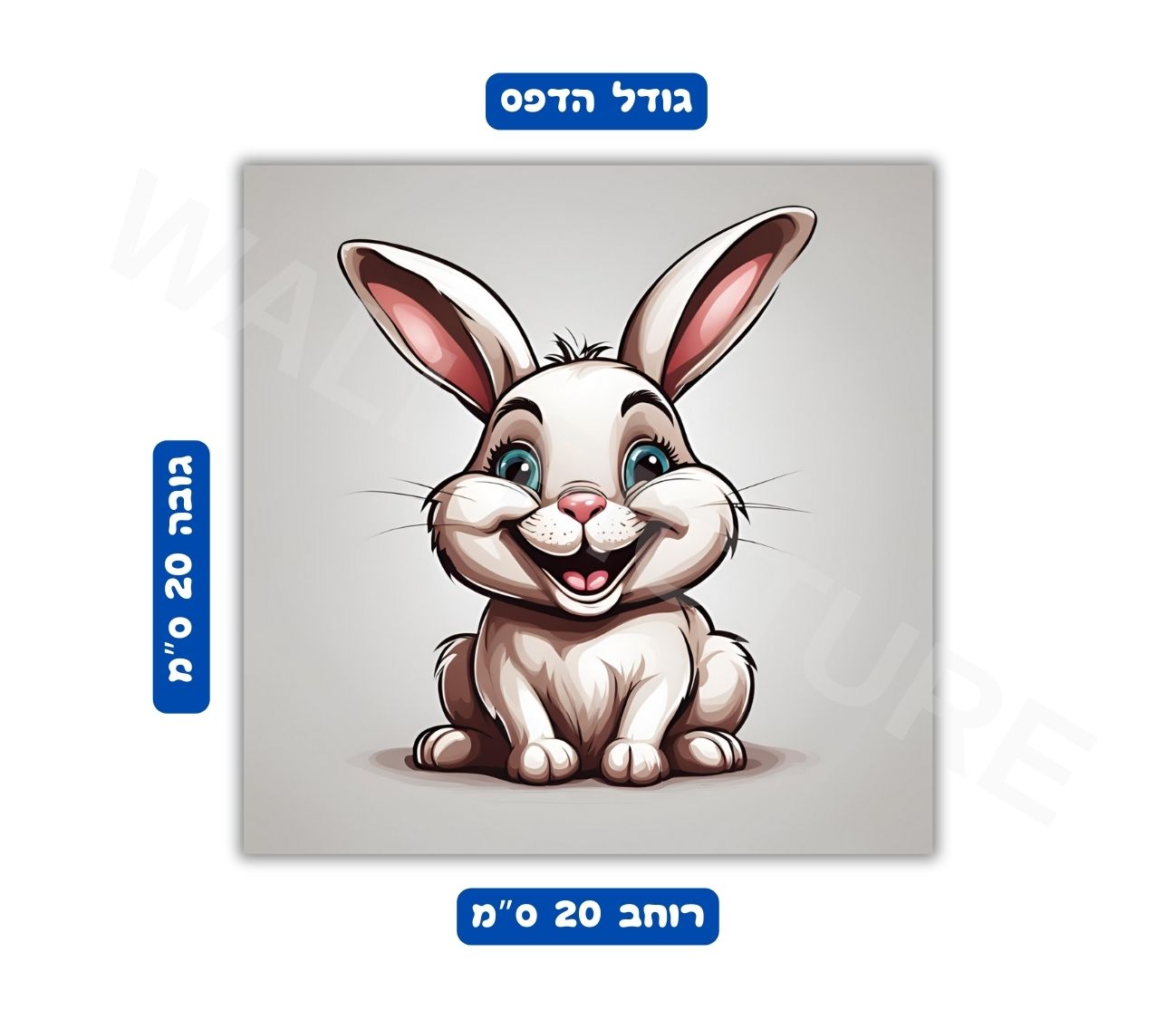 פוסטר גודל 20x20 ס"מ 