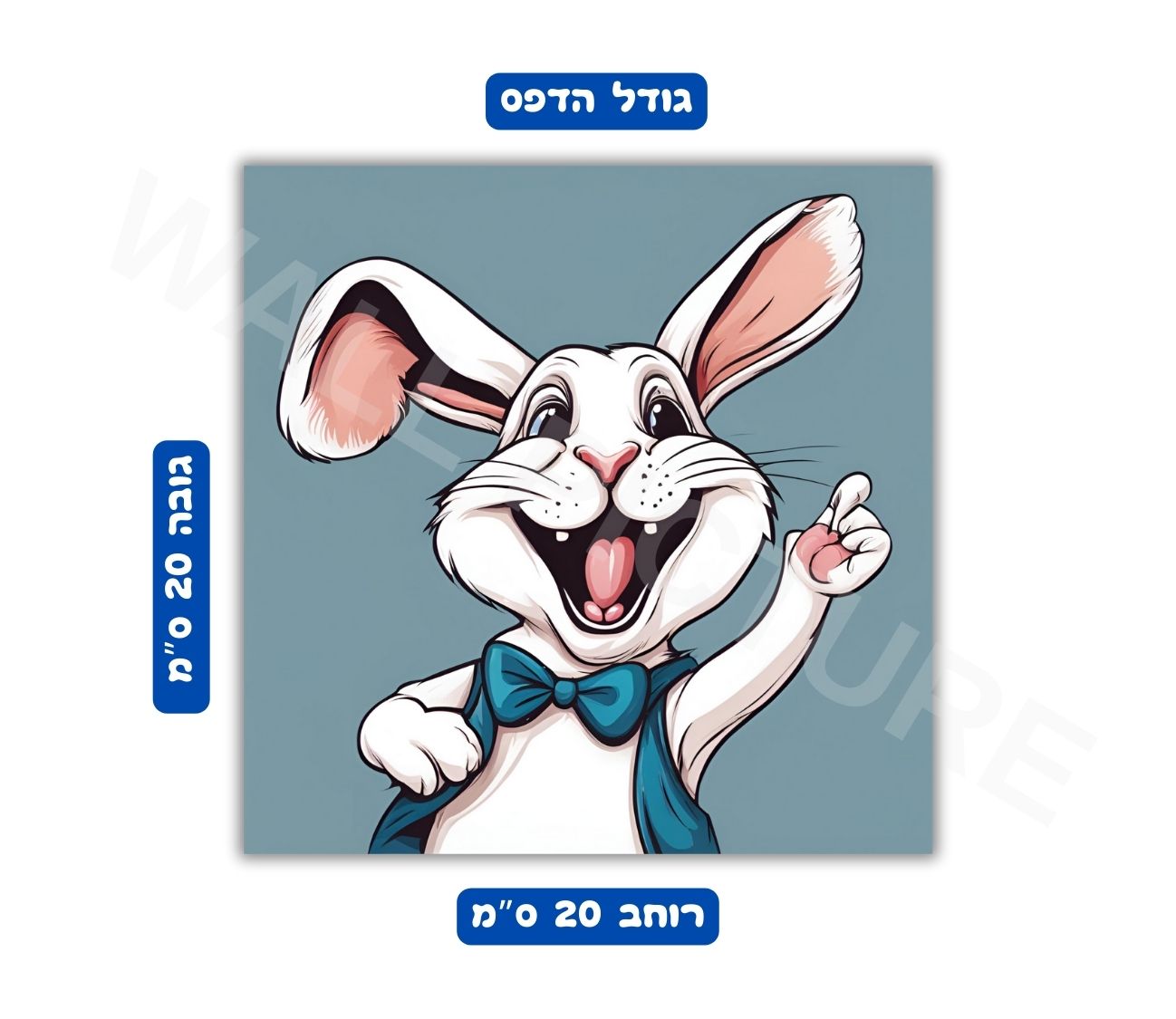פוסטר גודל 20x20 ס"מ 