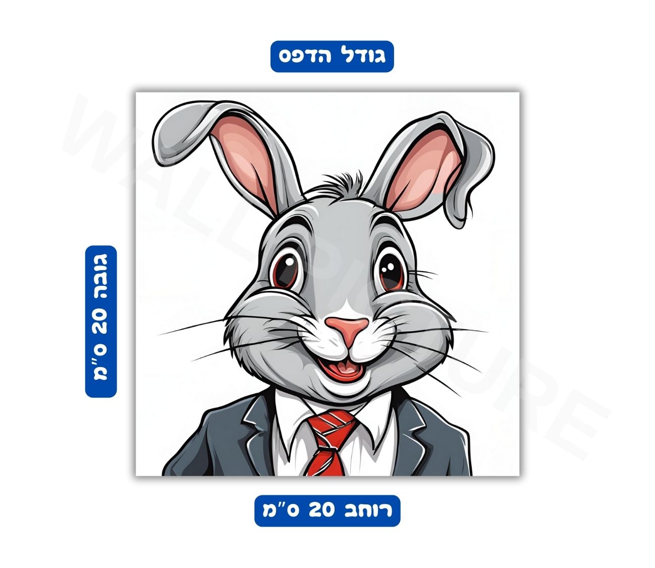 פוסטר ארנב גודל 20x20 ס"מ 
