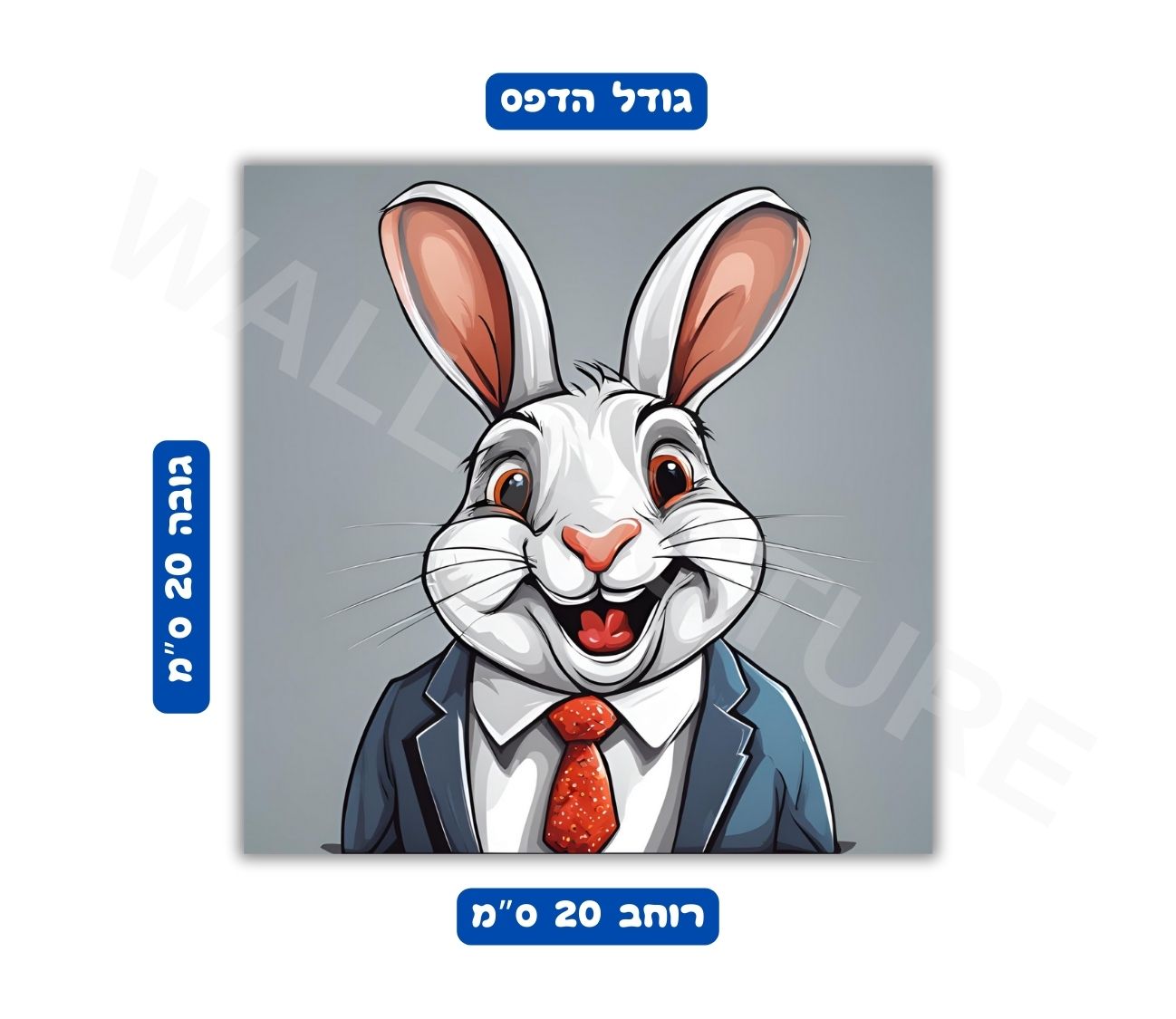 פוסטר גודל 20x20 ס"מ 