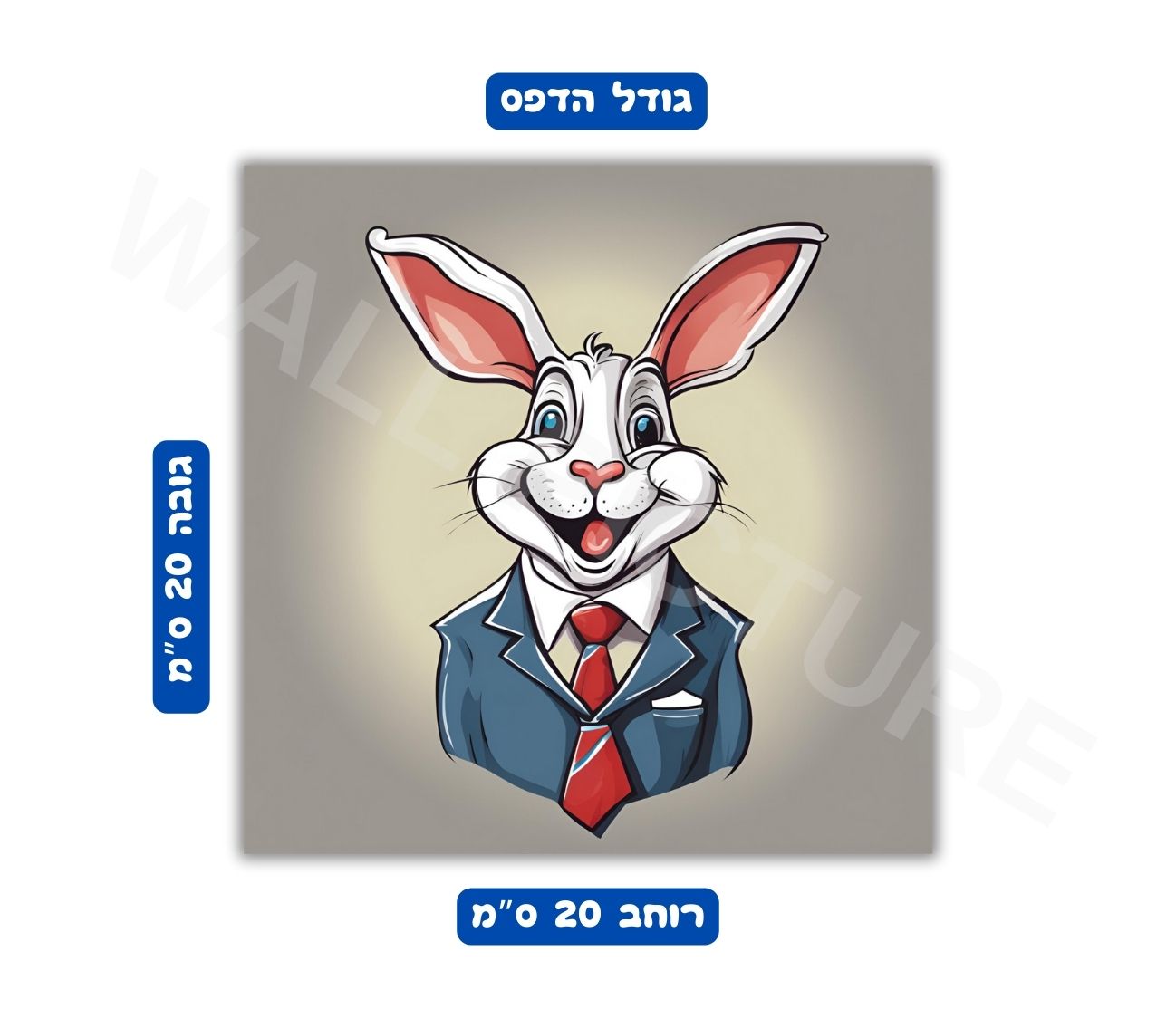 פוסטר גודל 20x20 ס"מ 