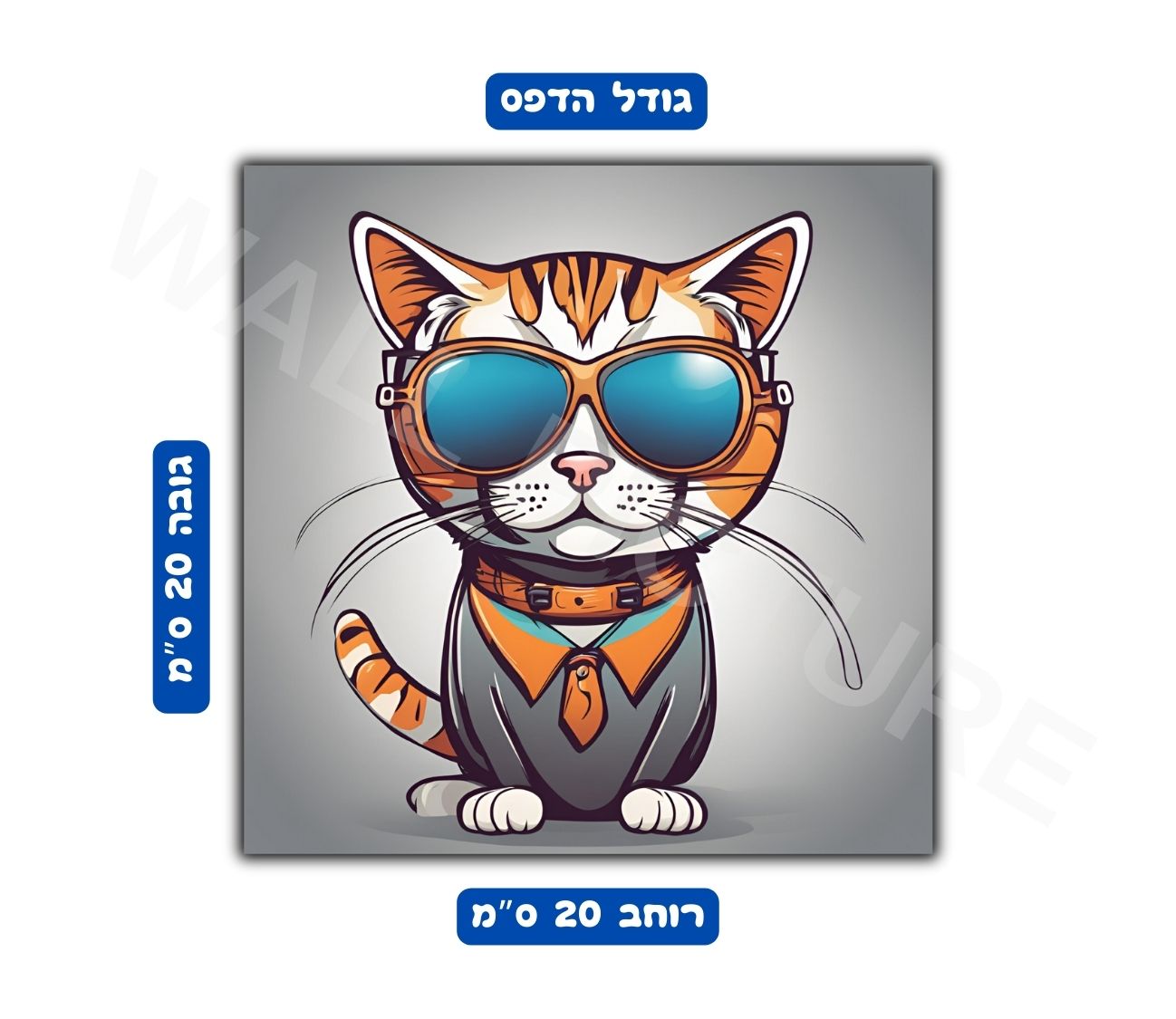 פוסטר גודל 20x20 ס"מ 