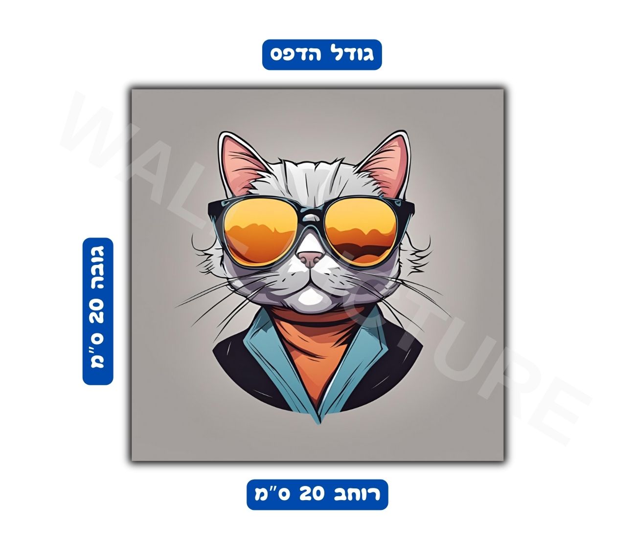 גודל 20x20 ס"מ הדפס תמונת קיר חתול מגניב עם משקפיים לחדרי נוער