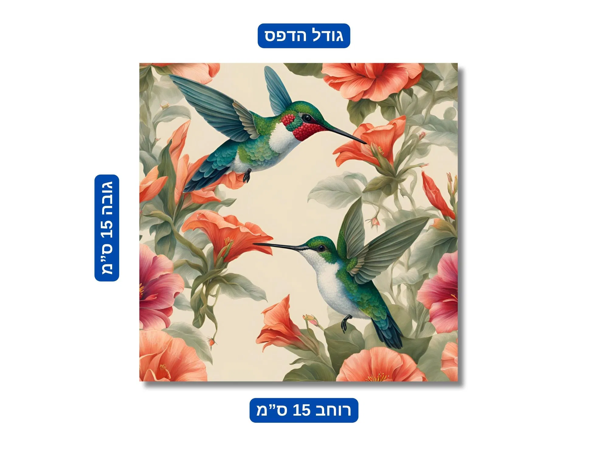 הדפס גודל 15x15 ס"מ 