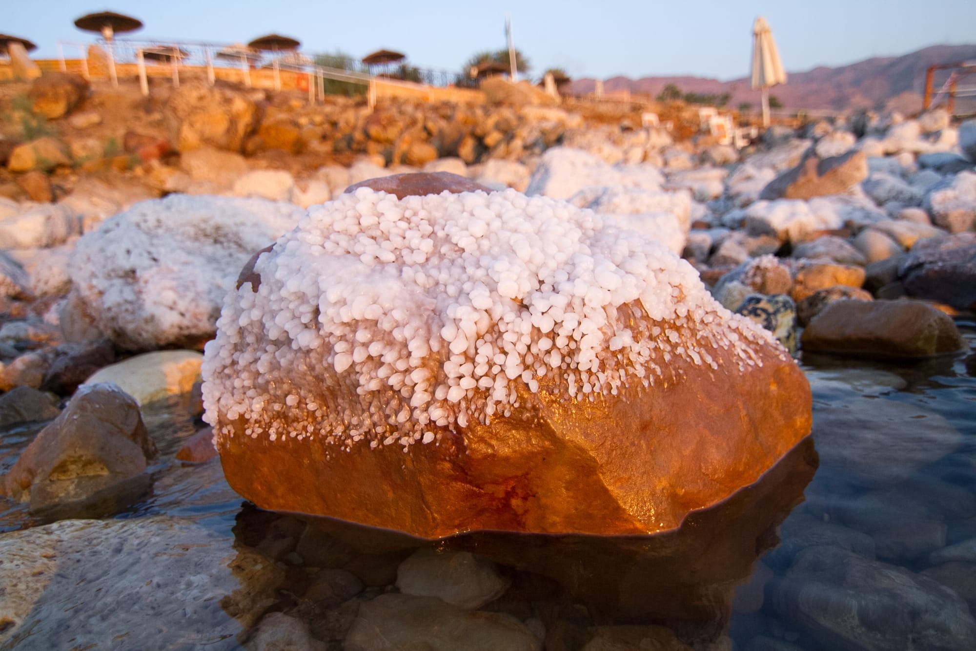 מוצרים טבעיים מבית ים המלח: המדריך המלא