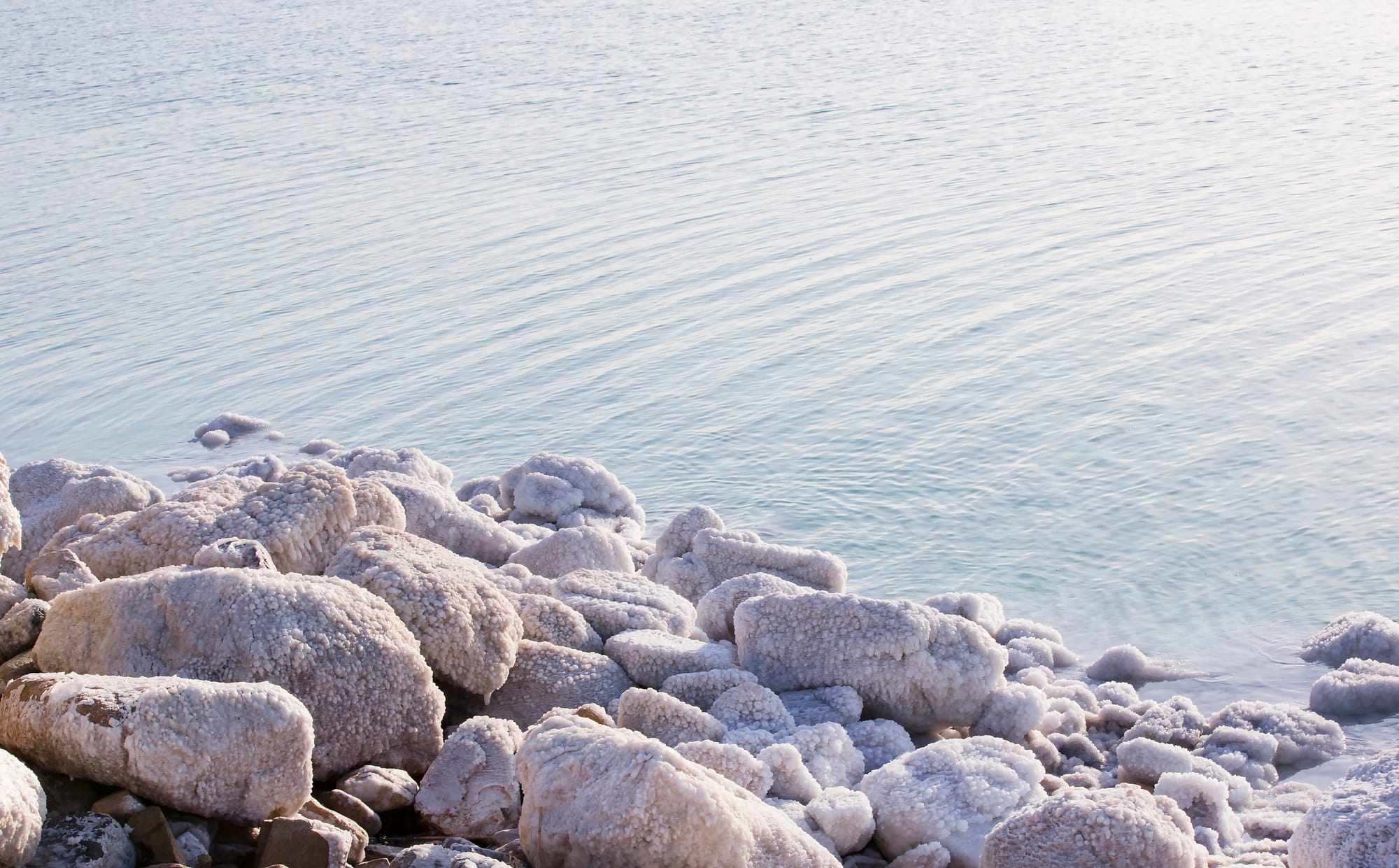 רכישת מוצרי ים המלח: כל השאלות שחשוב לשאול
