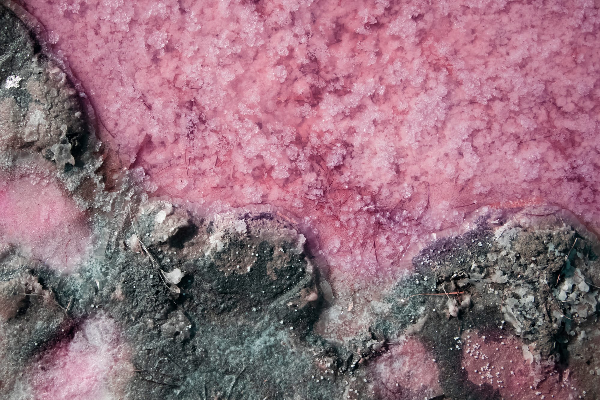 בוץ ים המלח לשימוש בתעשייה