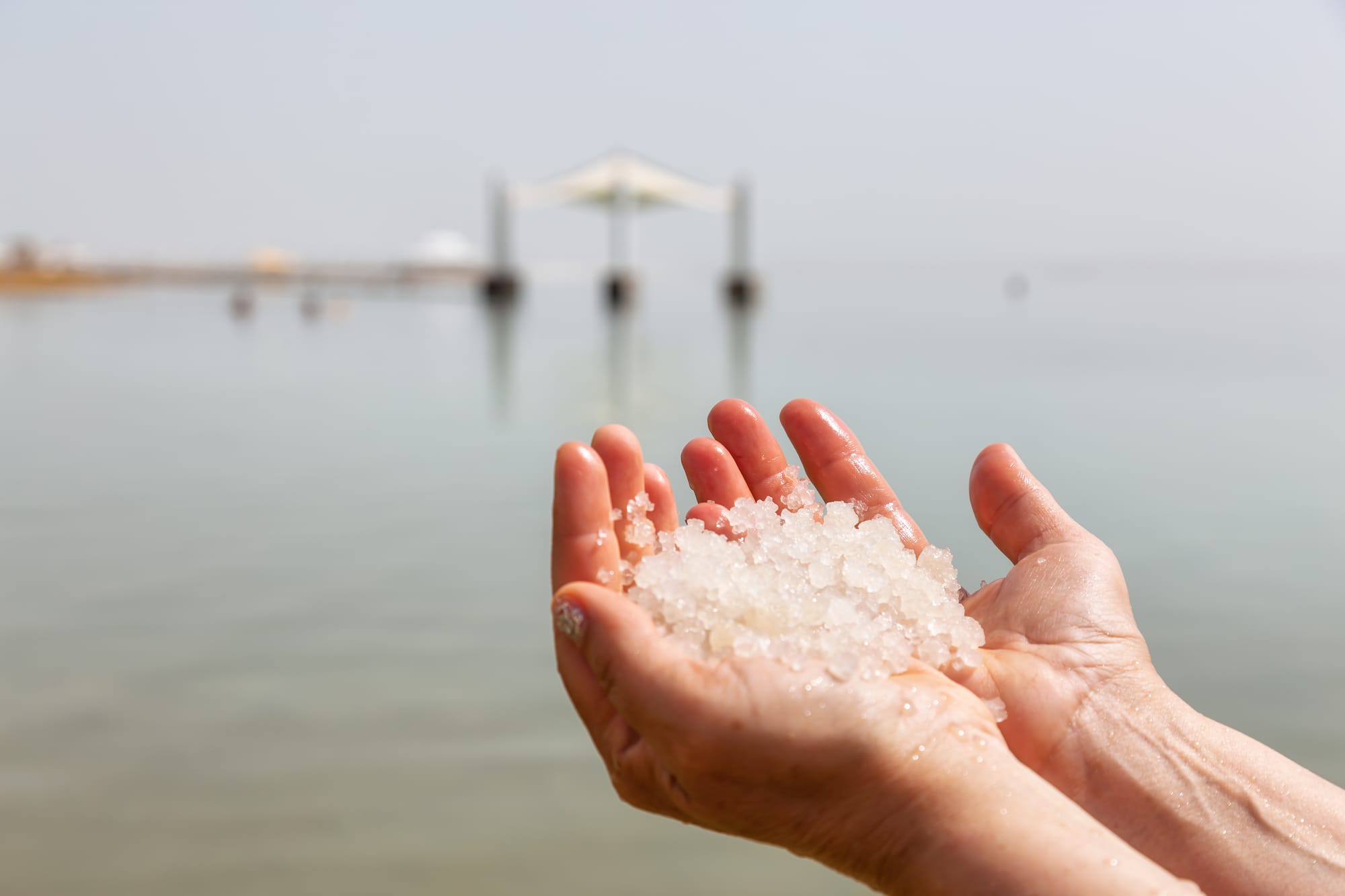 המוצרים המומלצים מים המלח