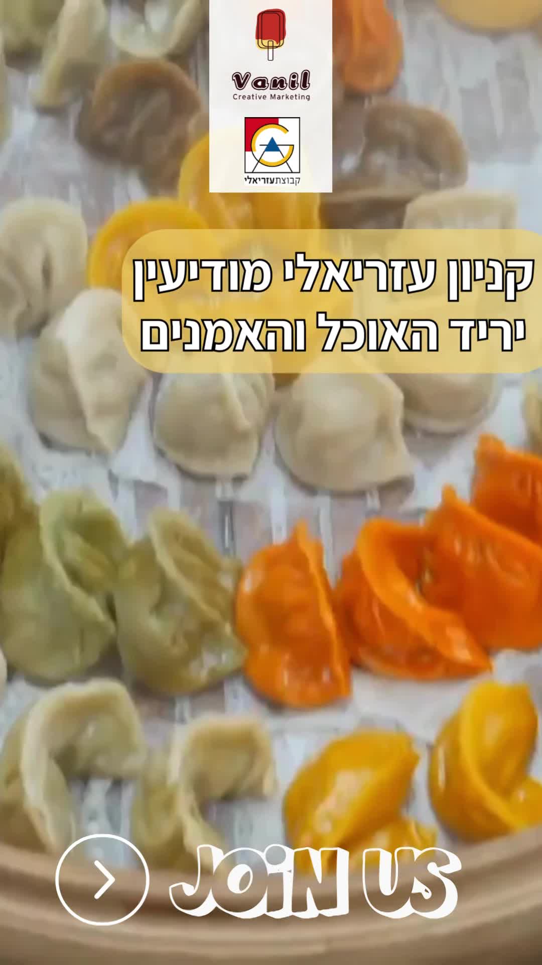סרטוני REELS