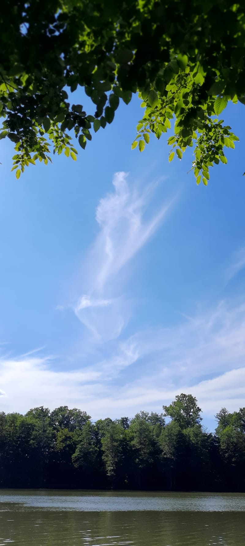 Wurzelwunder & Zauberklang  ​– Ein Hörspiel zum Mitfühlen