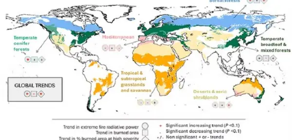 الأرض تشتعل.. خريطة مفزعة تكشف عن 30 مليون حريق في 21 عاما