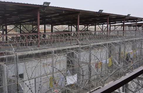 العدل تعلن إطلاق سراح (98) حدثاً خلال شهر ‏حزيران الماضي