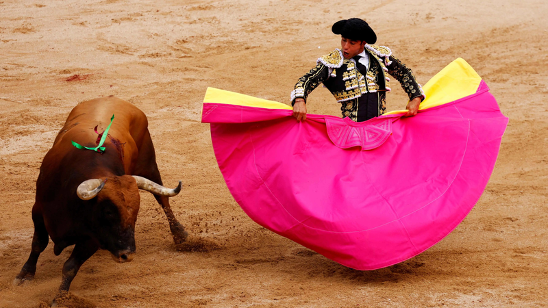 "قتل الحيوانات كقتل البشر".. كولومبيا تحظر مصارعة الثيران