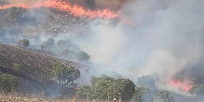الاسباب مجهولة.. حريق يتلف “700” فدان في السليمانية