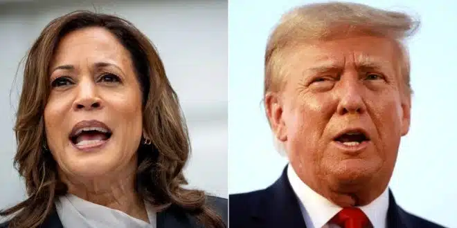 أمريكا عالقة بين ليبرالية مجنونة وشخص غريب الأطوار.. تراشق إعلامي بين مرشحي الوصول إلى البيت الأبيض