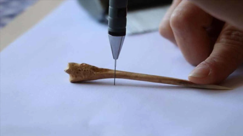 تركيا.. اكتشاف دبوس وإبرة خياطة عمرهما 13 ألف عام