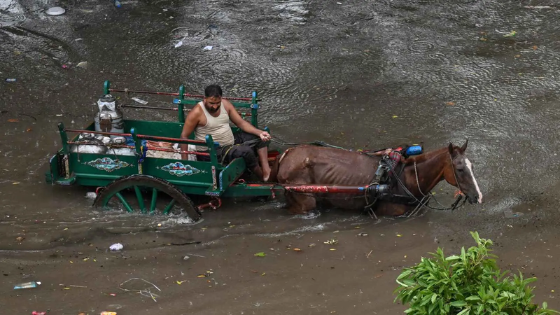 "أمطار قياسية".. الفياضات تغمر لاهور في باكستان