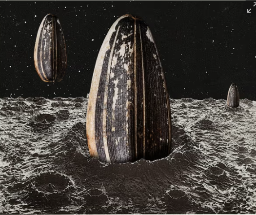 بسبب مخاطر التغير المناخي.. علماء يقترحون إنشاء نسخة احتياطية للحياة على القمر