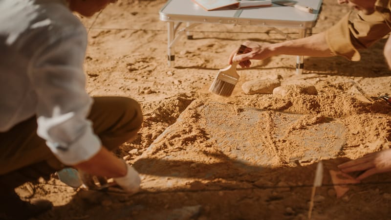 "الكسوف يدل على الطاعون".. فك رموز ألواح مسمارية عثر عليها في العراق