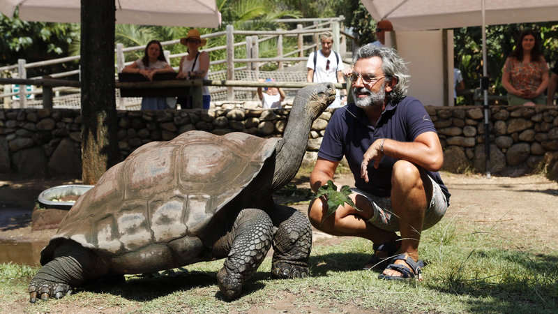 ولادة أول سلحفاة عملاقة مهددة بالانقراض (صورة)