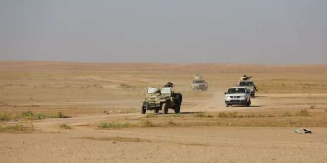 القوات الأمنية تدك معاقل الإرهابيين في الصحراء وتؤكد: لا أماكن رخوة وآمنة للتنظيمات الإرهابية