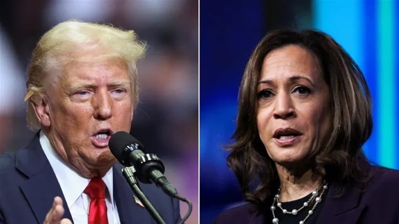 بـ"مكبرات الصوت".. هاريس تدعو ترامب إلى مناظرة