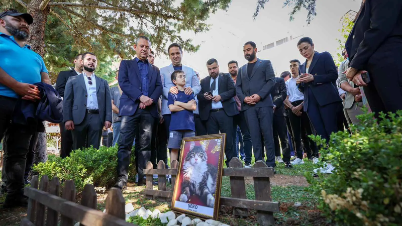 يمتلك حسابا على "إكس".. وفاة قط تركي شهير ودفنه في مقر رسمي (صور)