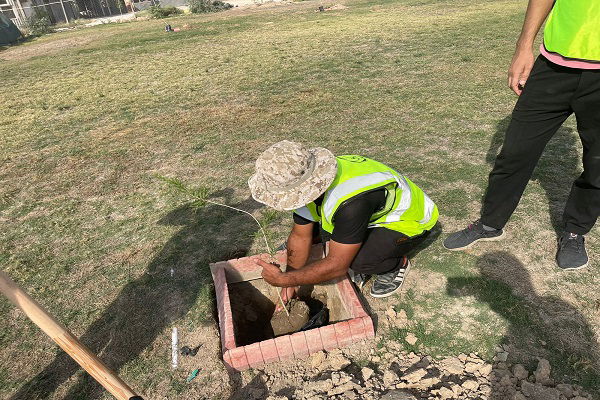 صور .. بغداد الخضراء .. حملة لتشجيرها