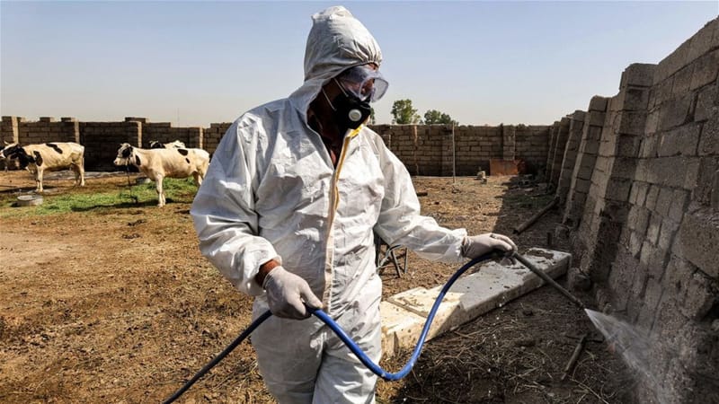 "ذي قار تتصدر"..  كشف حصيلة الوفيات والإصابات بالحمى النزفية