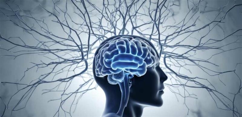 "مشاهد سينمائية".. هكذا يقسم عقلك الأحداث اليومية