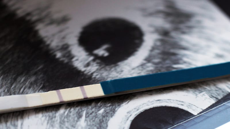 اكتشاف مثير.. عقار شائع للإجهاض قد يحمل مفتاح العمر المديد!