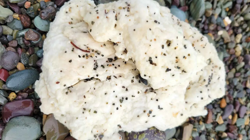 "كتل غامضة" تحيّر العلماء على الشواطئ الكندية (صور)