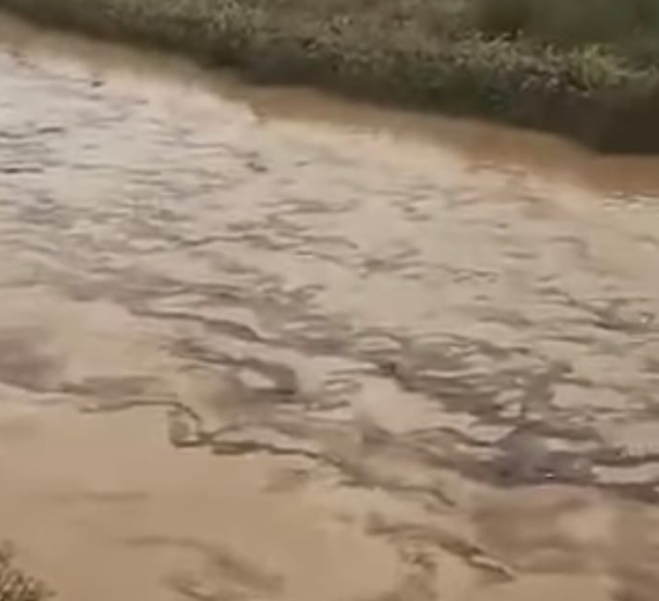 "تلوث نهر دجلة".. برك زيتية تهدد البيئة وصحة سكان تكريت