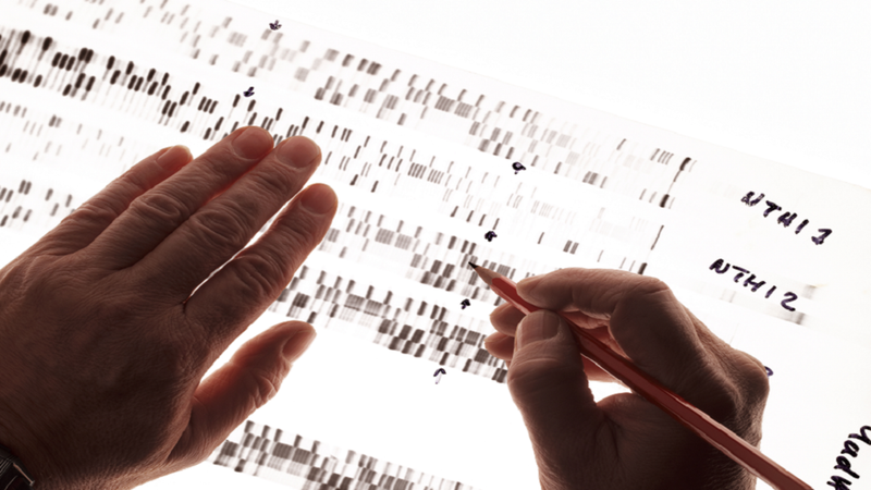 اكتشاف متغيرات جينية جديدة مرتبطة بالتوحد