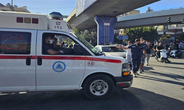 خطة من العتبة الحسينية تخص لبنان