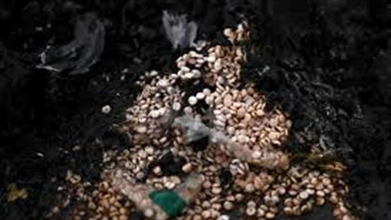 سقوط الأسد يقود لـ"شح الكبتاغون" في العراق