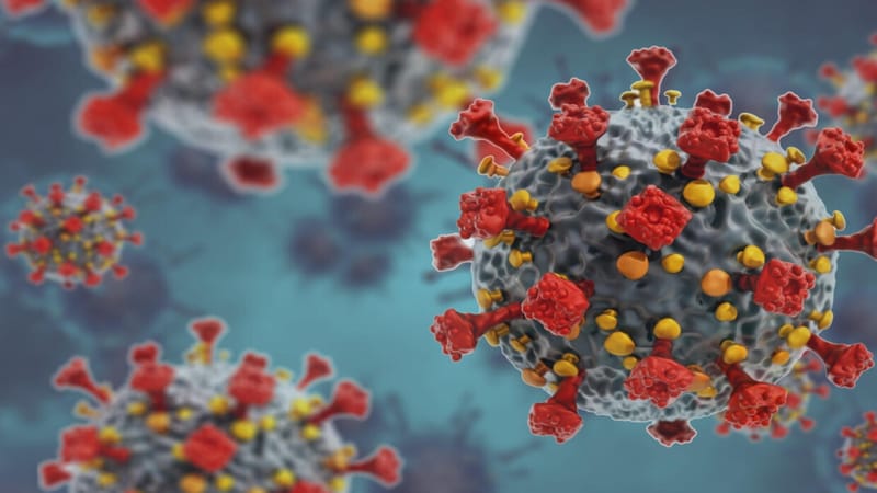 ما حقيقة "فيروس الصين الجديد" الذي يثير مخاوف العالم؟