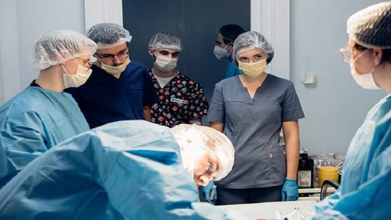 روسيا.. نجاح عملية زرع حالب معدل وراثيا في خنزير