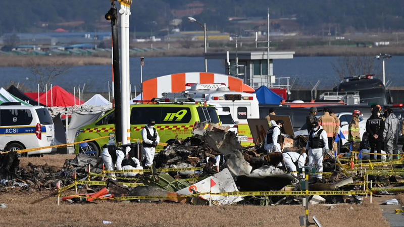 أسوأ كارثة جوية.. إصدار تقرير أولي حول تحطم الطائرة الكورية