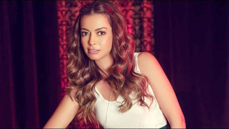 "لسه ماخدتش القرار".. داليا مصطفى تُلمح إلى انفصال وشيك