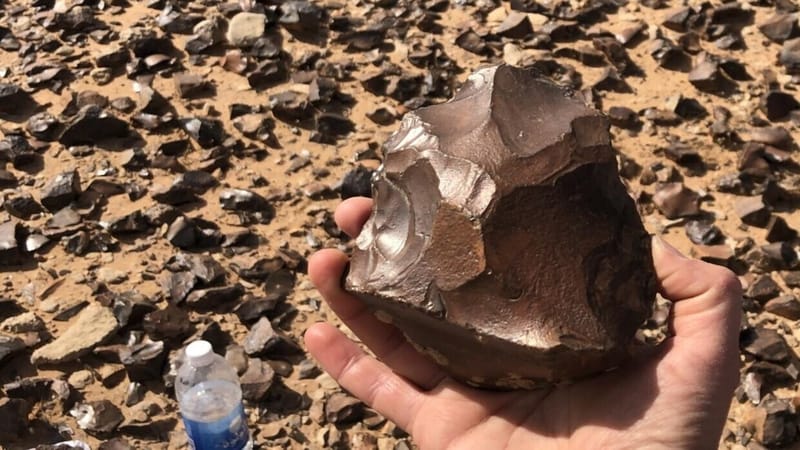 اكتشافات أثرية من العصر الحجري في صحراء العراق تذهل العلماء