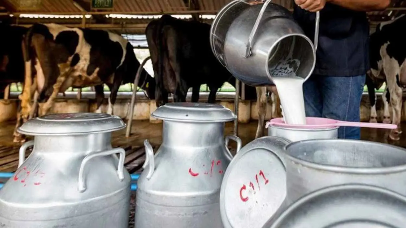 المغرب.. تحذيرات من انتقال السل عبر الحليب تشعل جدلا صحيا